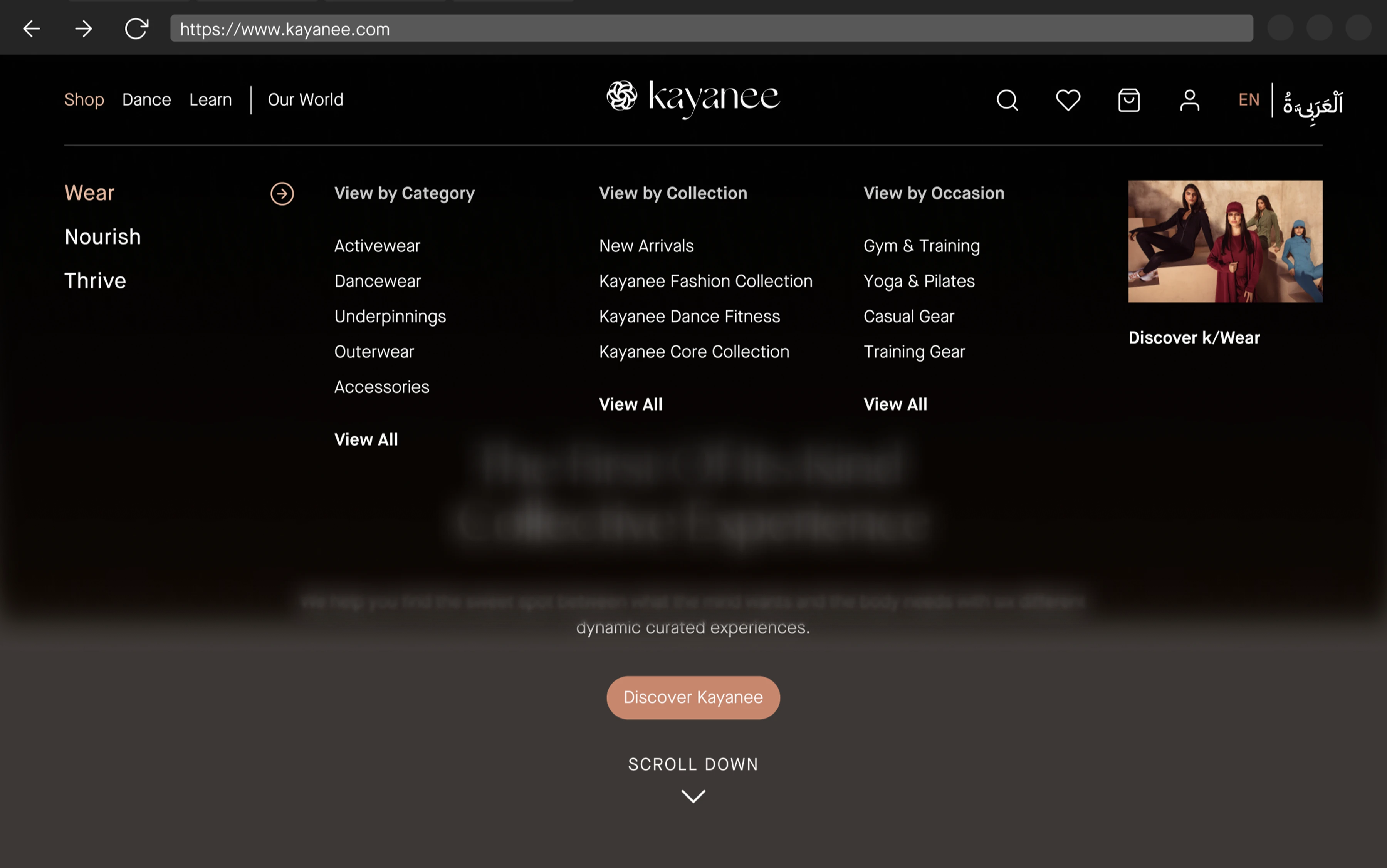 Version B: Structure-first mega menu