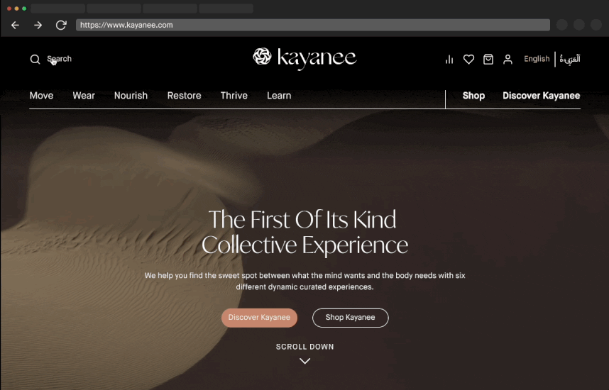 BU-driven split navigation solution